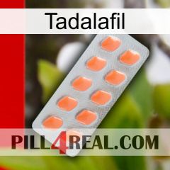 Tadalafil 26